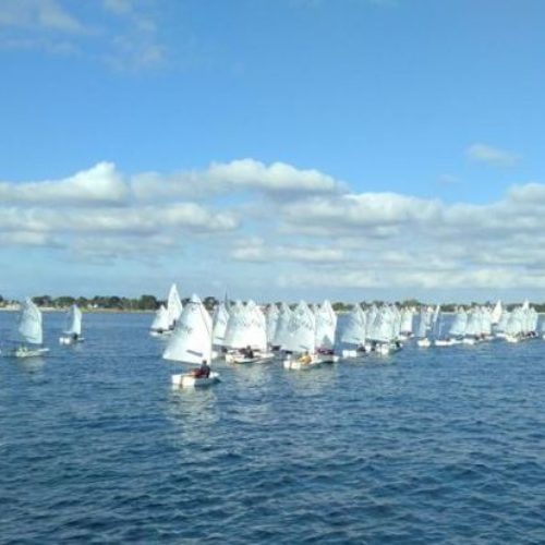 Critérium départemental voile légère