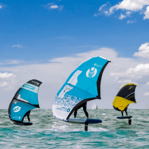 Les ailes de Loctudy