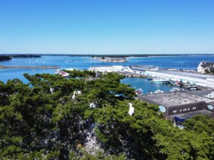 Vue sur l'embouchure de la rivière de Pont L'Abbé