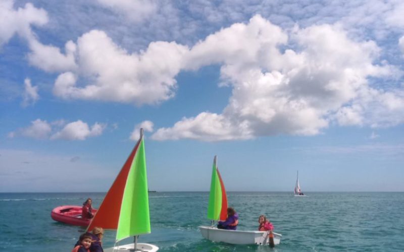 optimist voile papillon